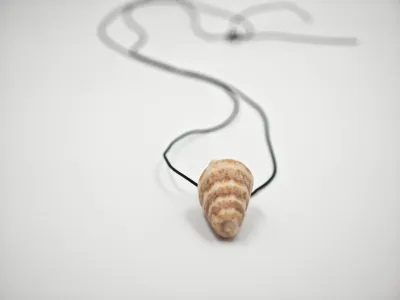 Zeeschelp Charme Ketting