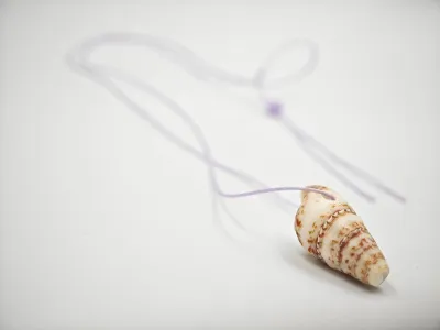Zeebries Ketting
